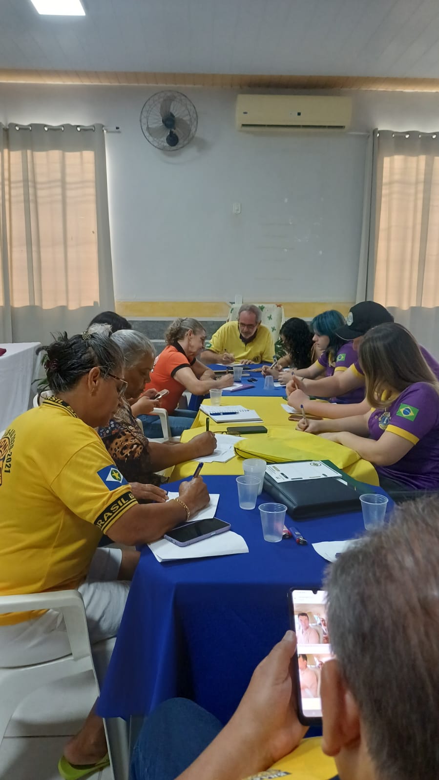 Governadora do Distrito LB-4 visita Lions Clube Matupá