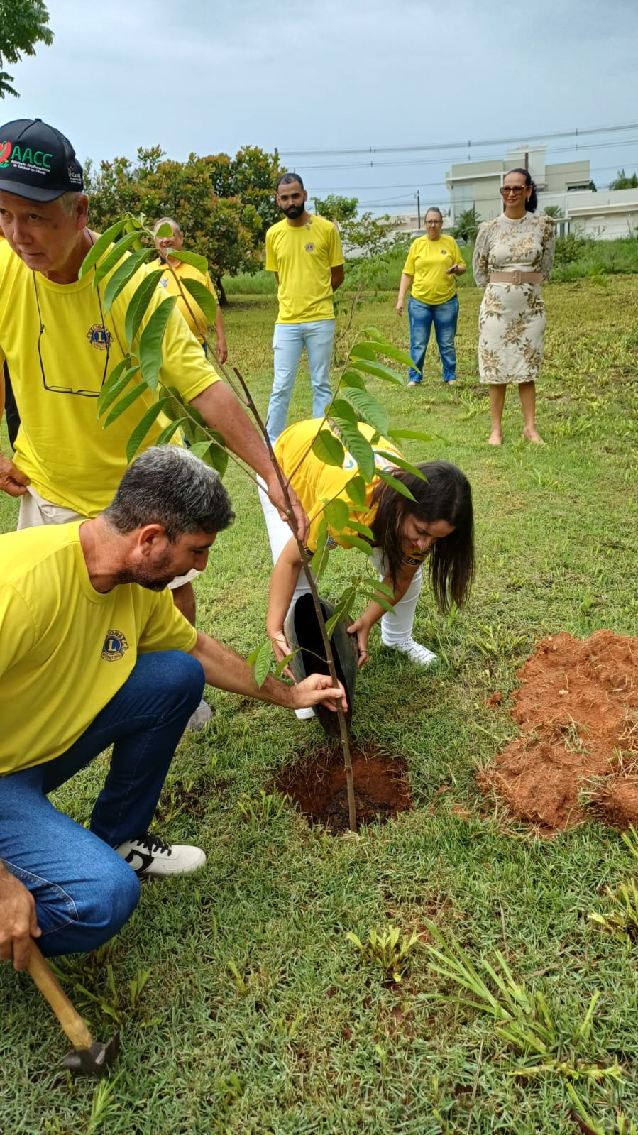 Governadora visita Lions e LEO Clube Alta Floresta