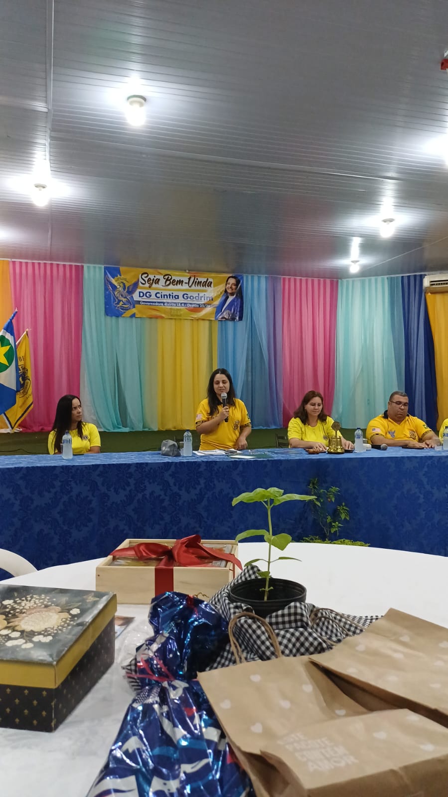 Governadora visita Lions e LEO Clube Alta Floresta